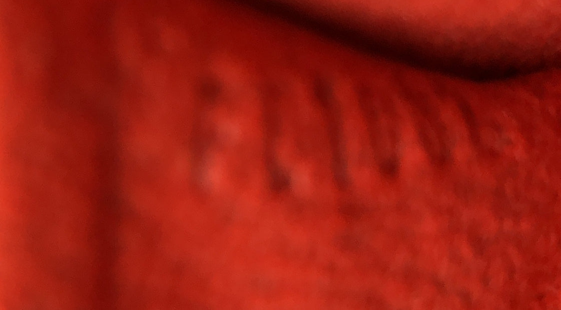 Recoleta Handbag Damier – Image 8