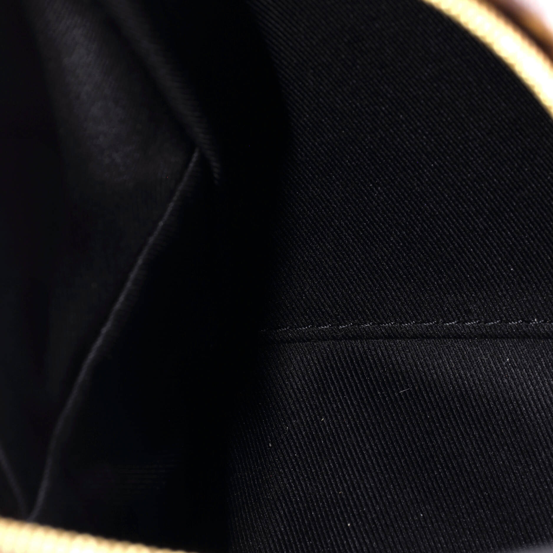 Palm Springs Backpack Monogram Canvas Mini – Image 5