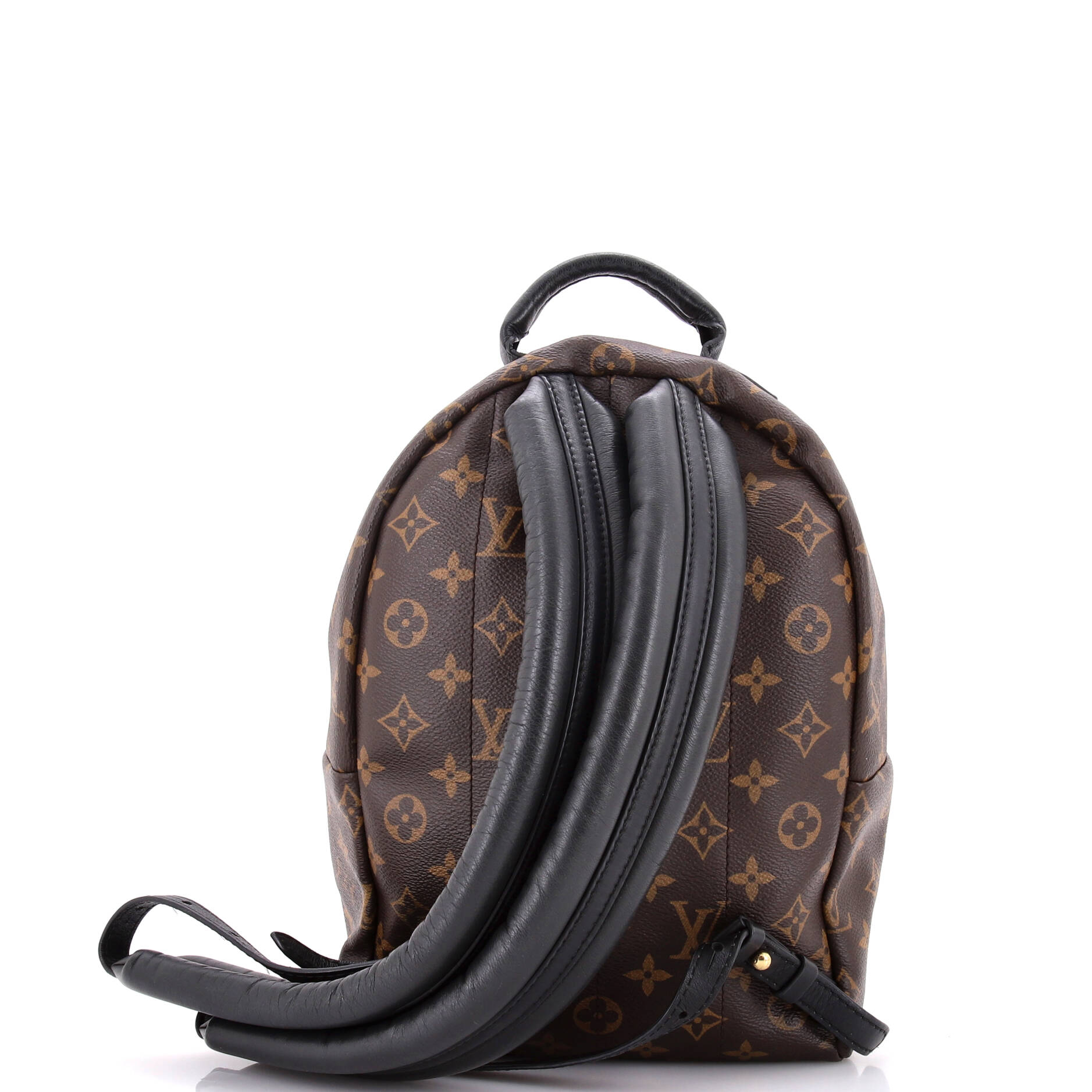 Palm Springs Backpack Monogram Canvas PM – Image 3