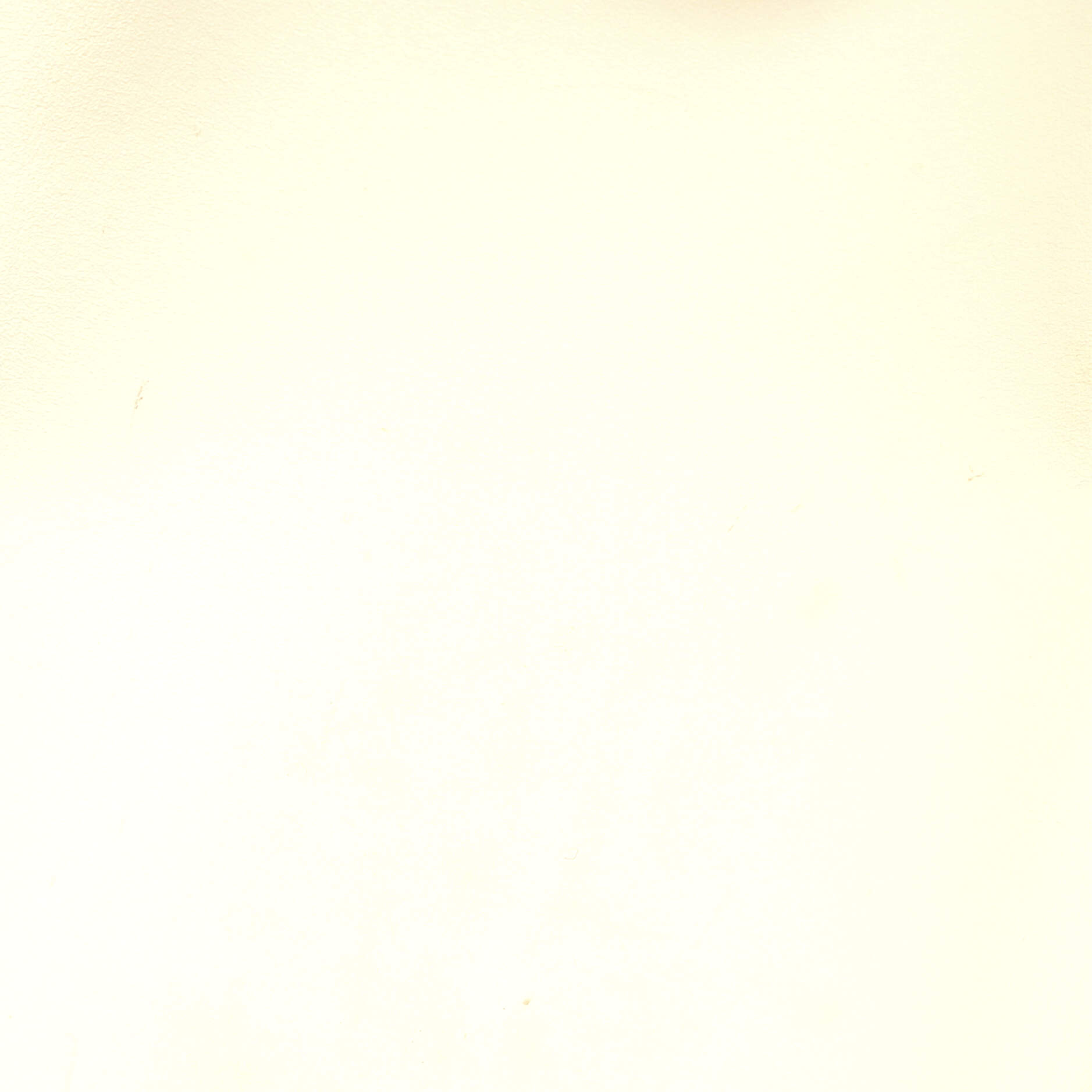 Sylvie Top Handle Bag Embroidered Leather Medium – Image 6