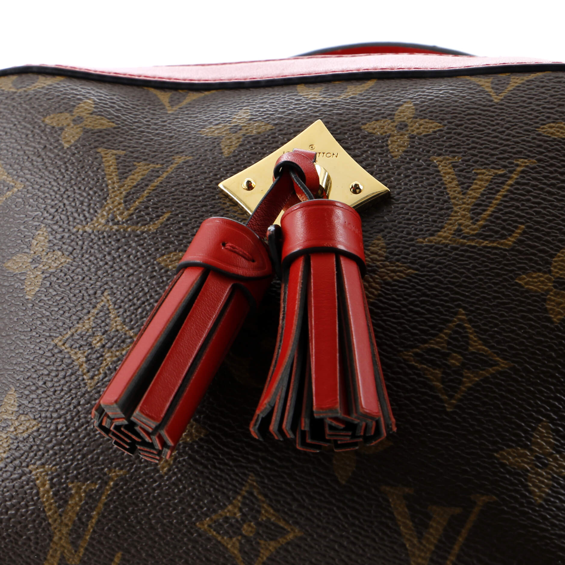 Saintonge Handbag Monogram Canvas with Leather – Image 6