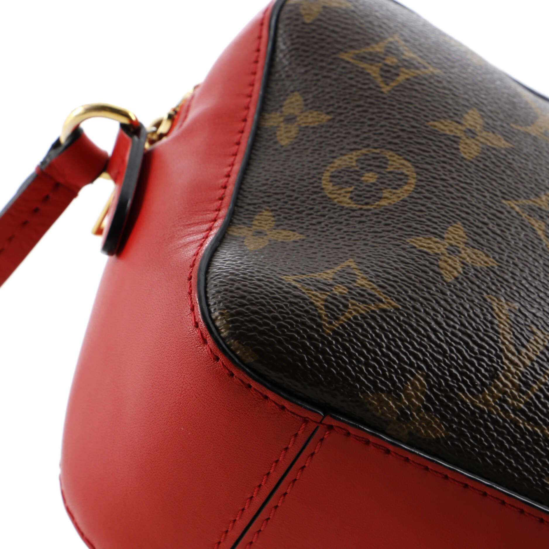 Saintonge Handbag Monogram Canvas with Leather – Image 7