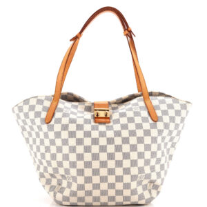 Salina Handbag Damier GM