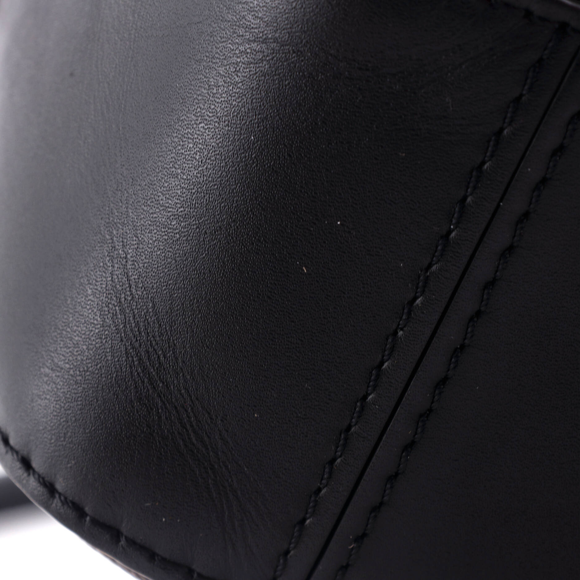 Saintonge Handbag Monogram Canvas with Leather – Image 6