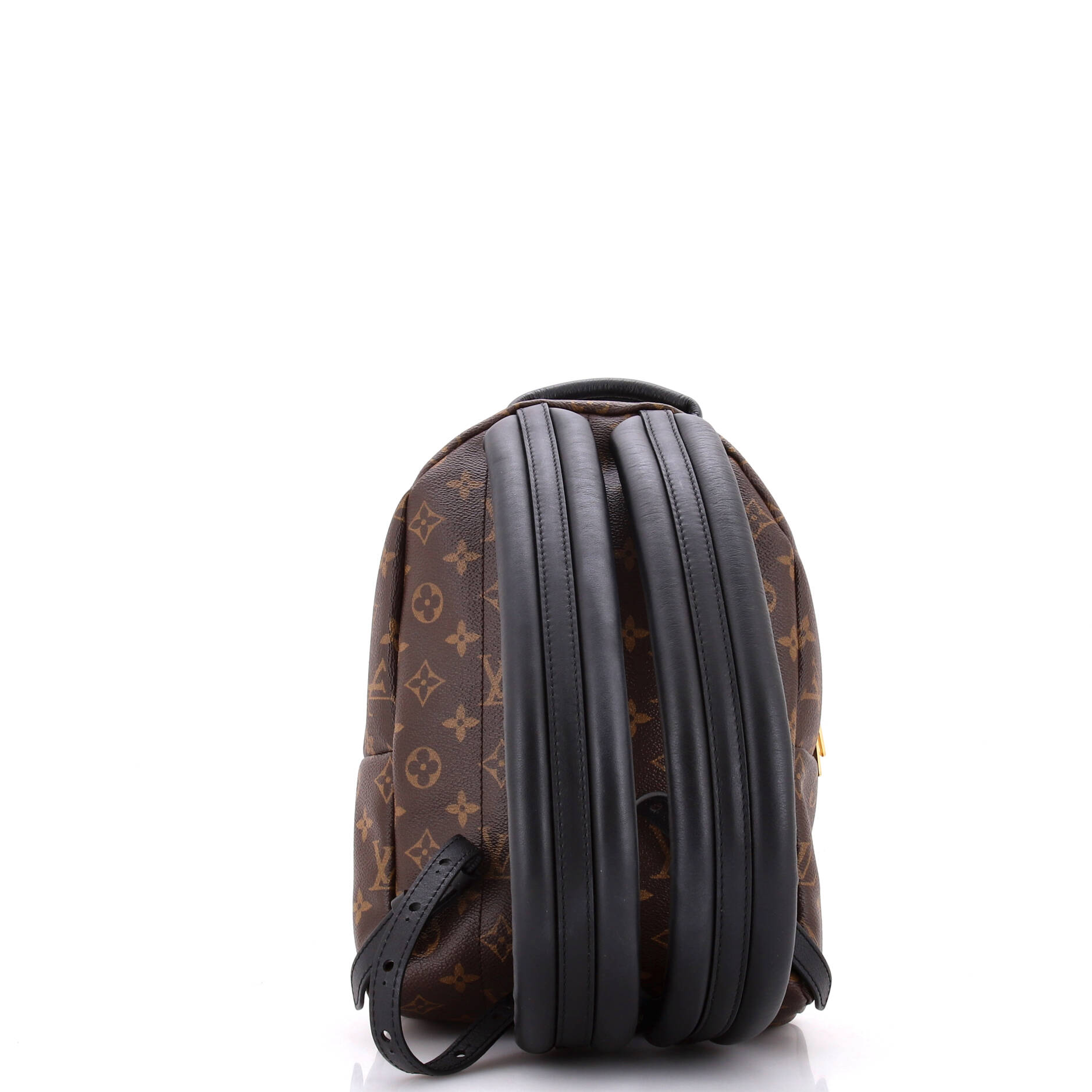 Palm Springs Backpack Reverse Monogram Canvas PM – Image 3