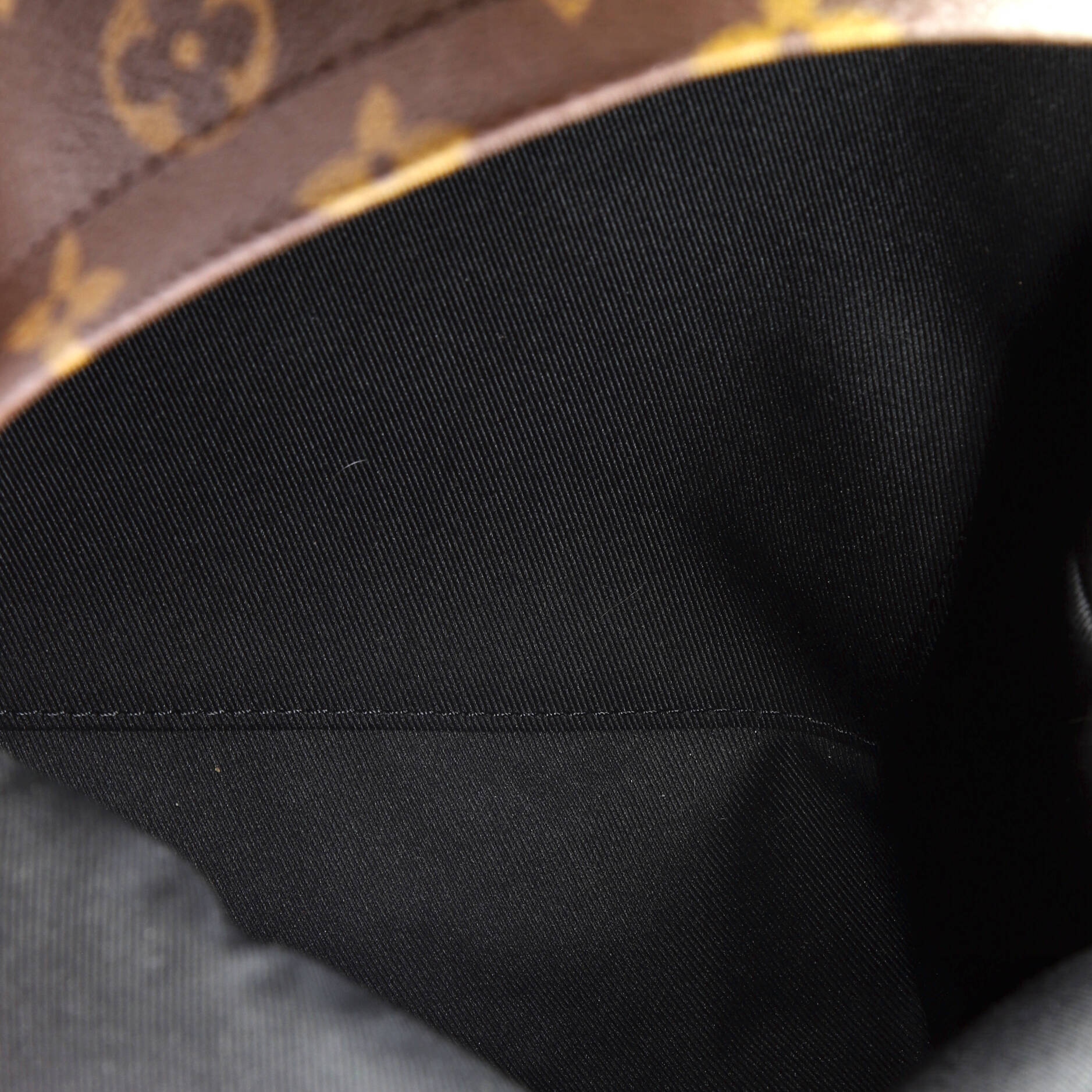 Palm Springs Backpack Reverse Monogram Canvas PM – Image 5