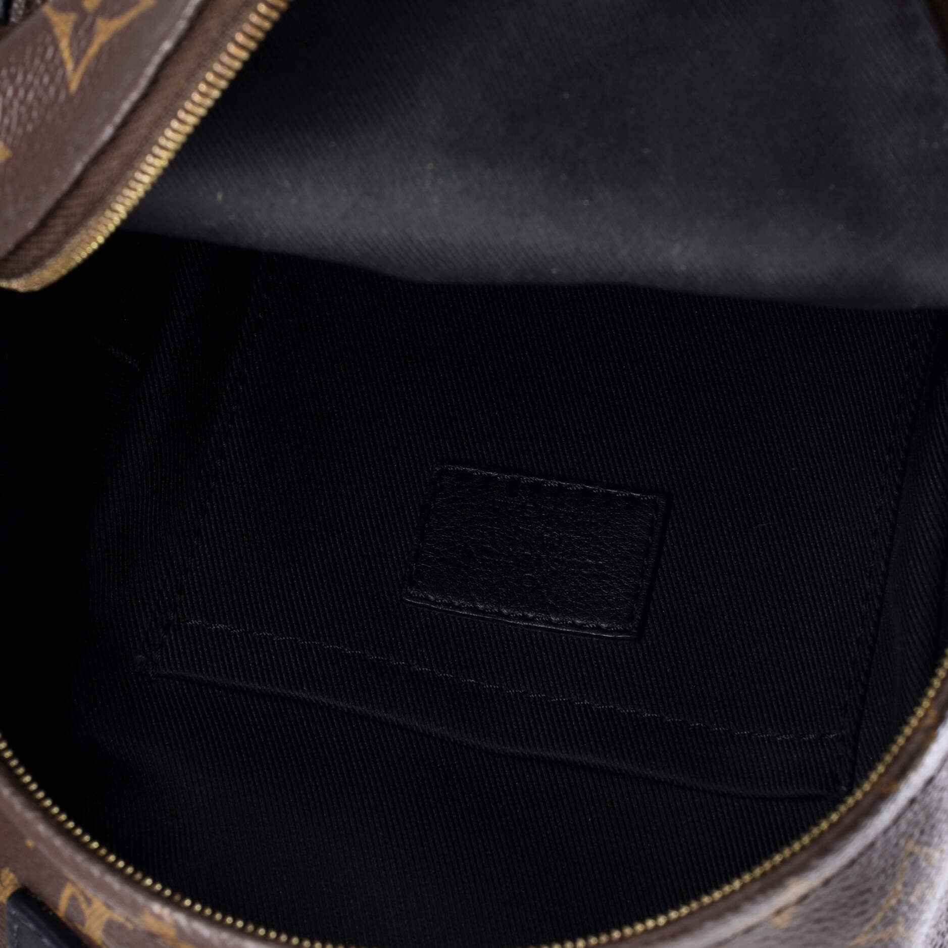 Palm Springs Backpack Monogram Canvas Mini – Image 5